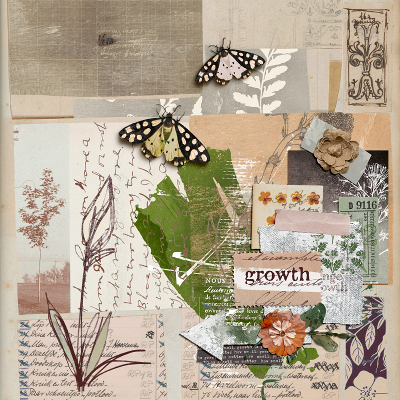 Growth