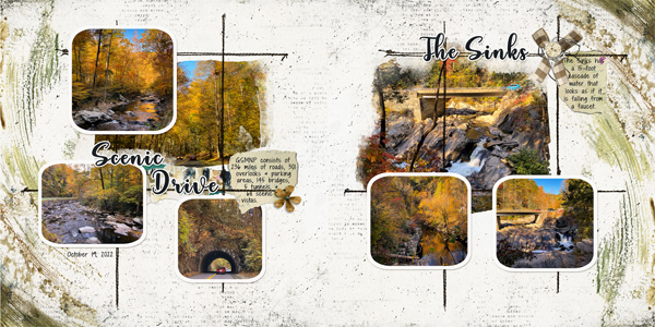 GSMNP