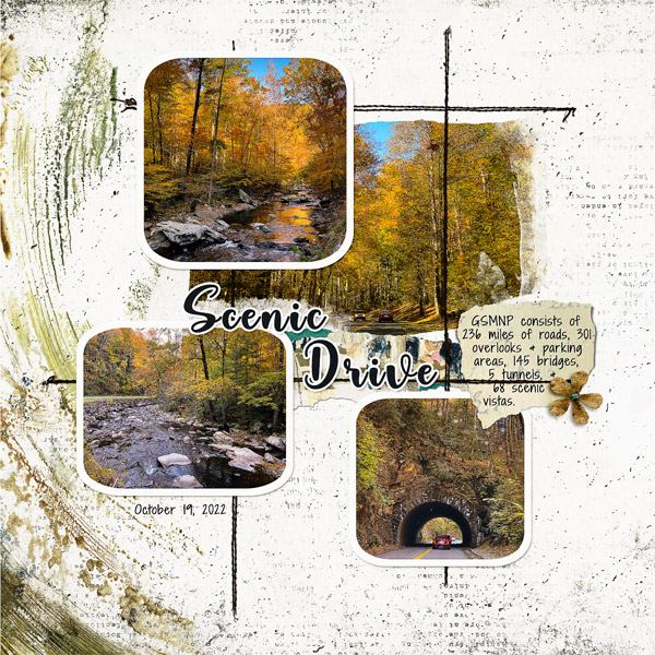 GSMNP_left