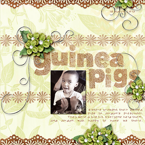 guinea pigs