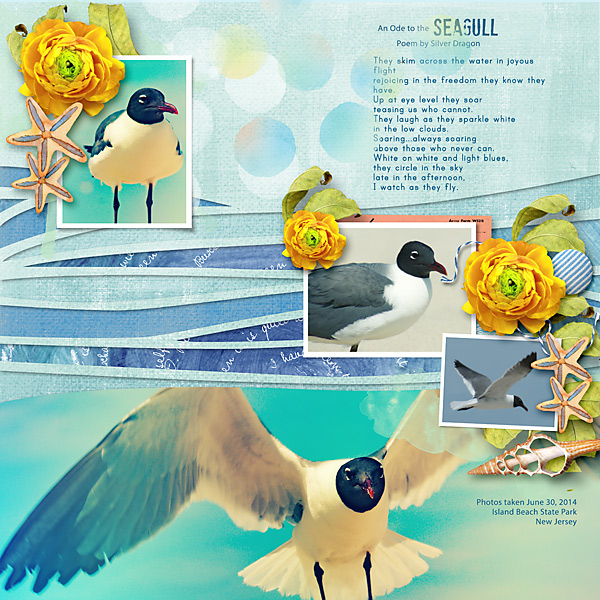 Gulls / Deep Blue Sea