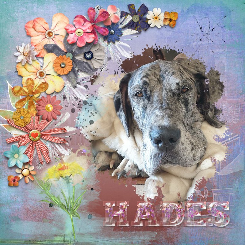 Hades_flowers