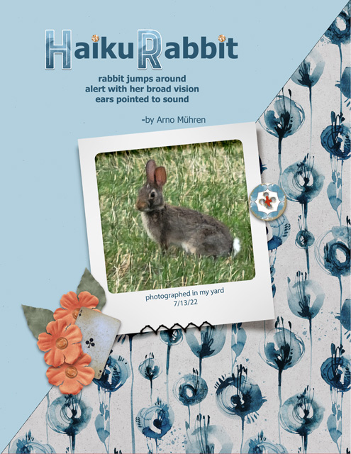 Haiku-Rabbit