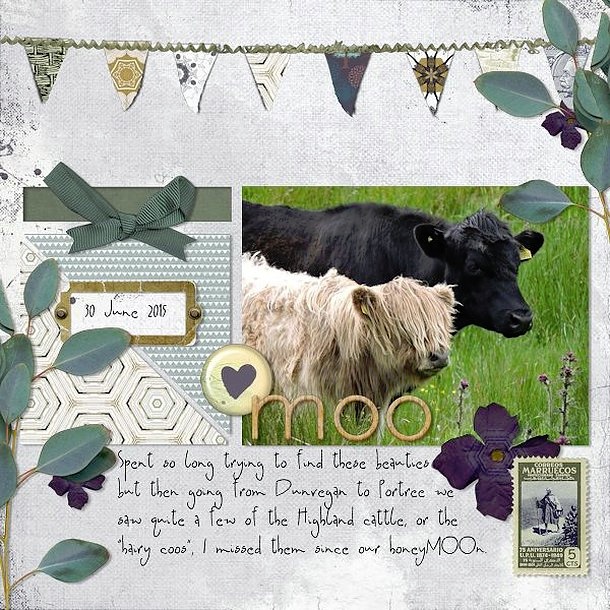 Hairy Coos