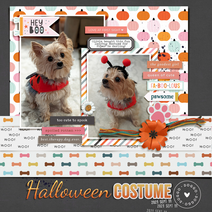 Halloween Costume ~ 09-30 8PM EDT Slow Scrap | DSD 2022