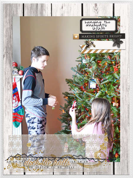 Hanging Ornaments