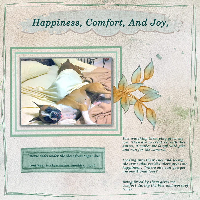 Happiness-comfort-and-joy