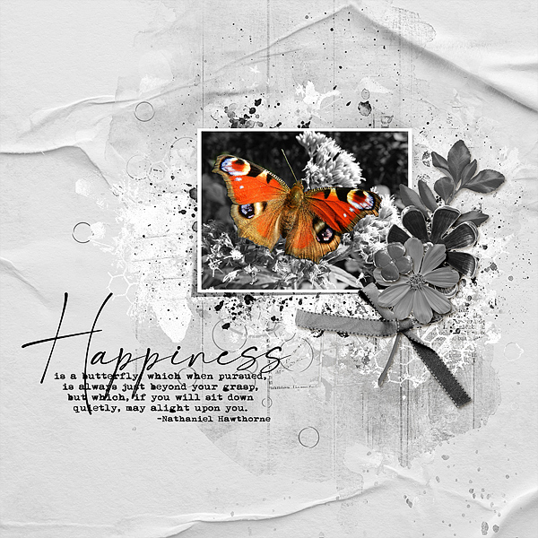 Happiness