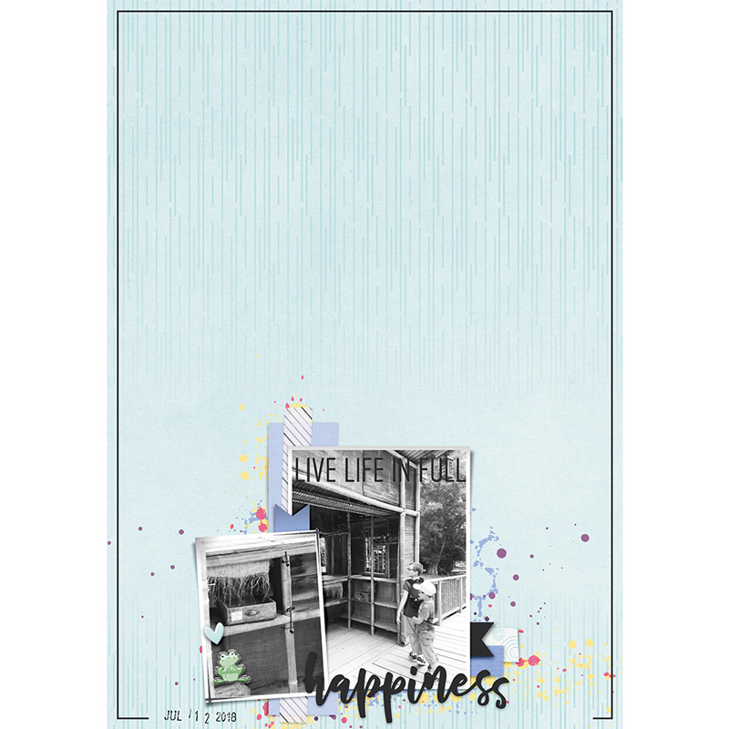 Happiness