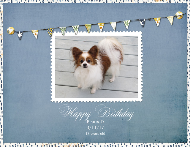 Happy-Birthday-Beaux-D-3-11-17