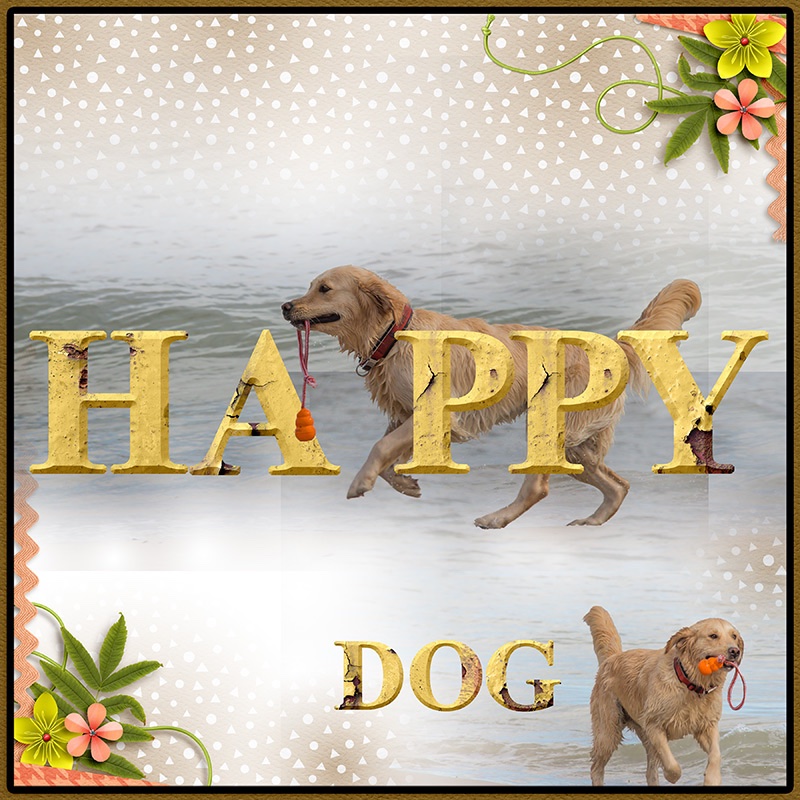 Happy Dog