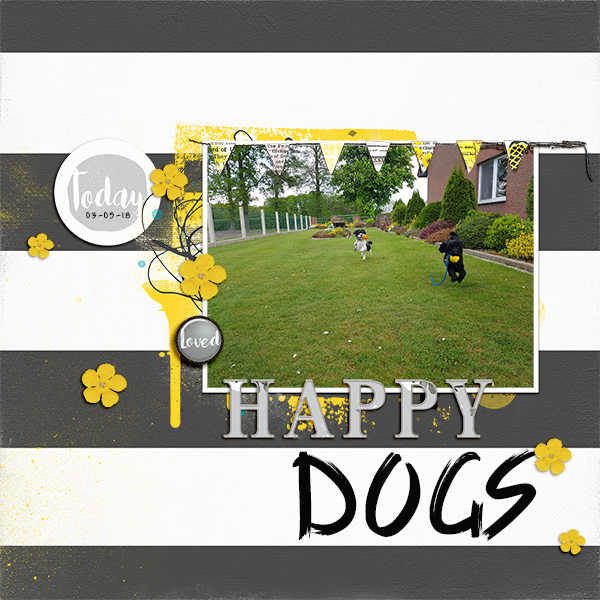 Happy Dogs