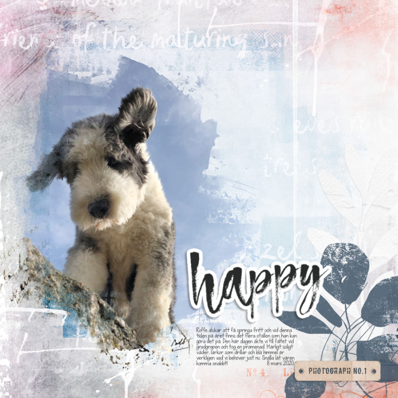 Happy from above