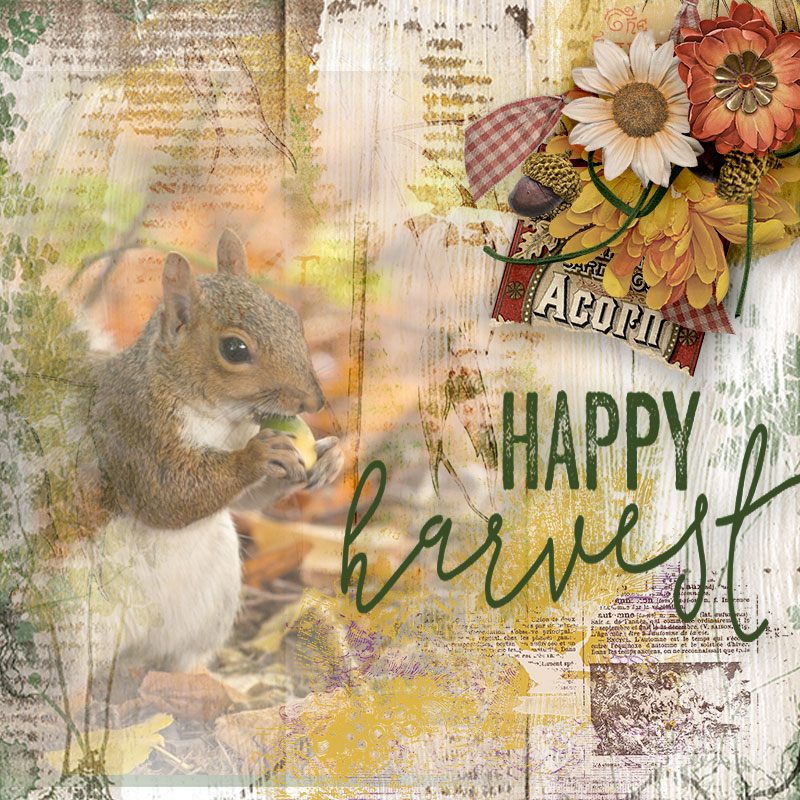 Happy-Harvest