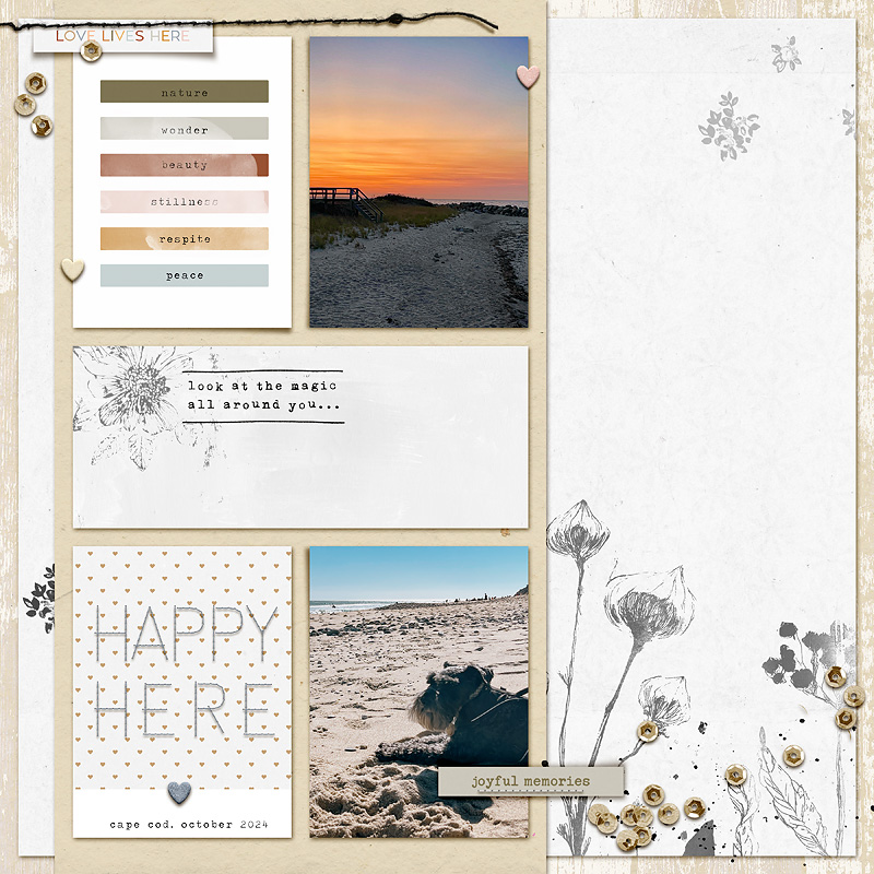 happy here | memory pockets monthly nov '24