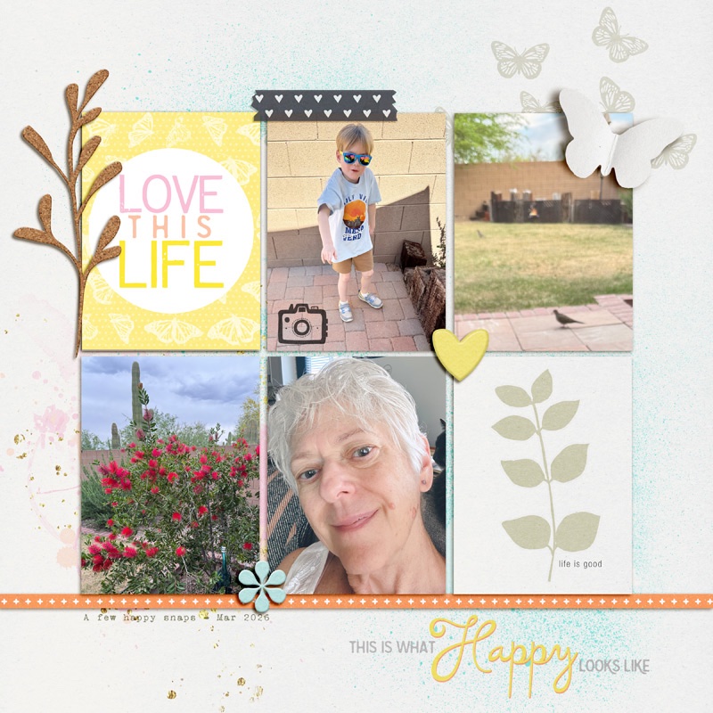 Happy Life