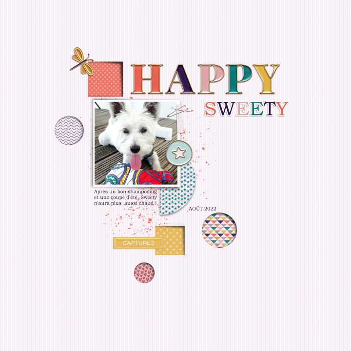 Happy Sweety