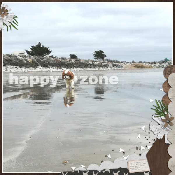 Happy Zone