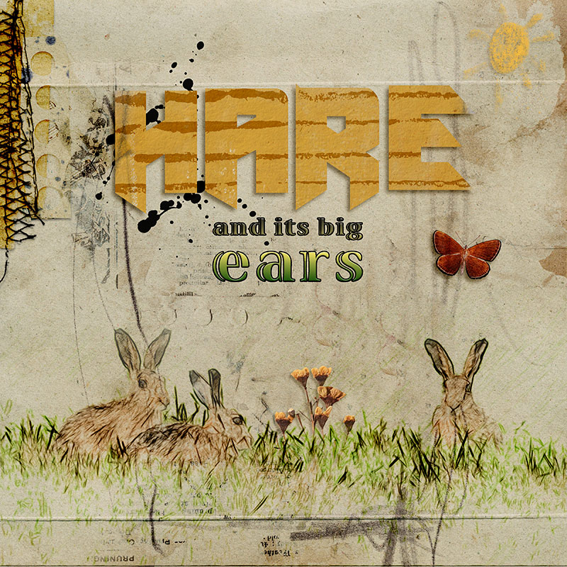 Hare