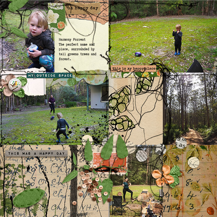 Harmony Forest