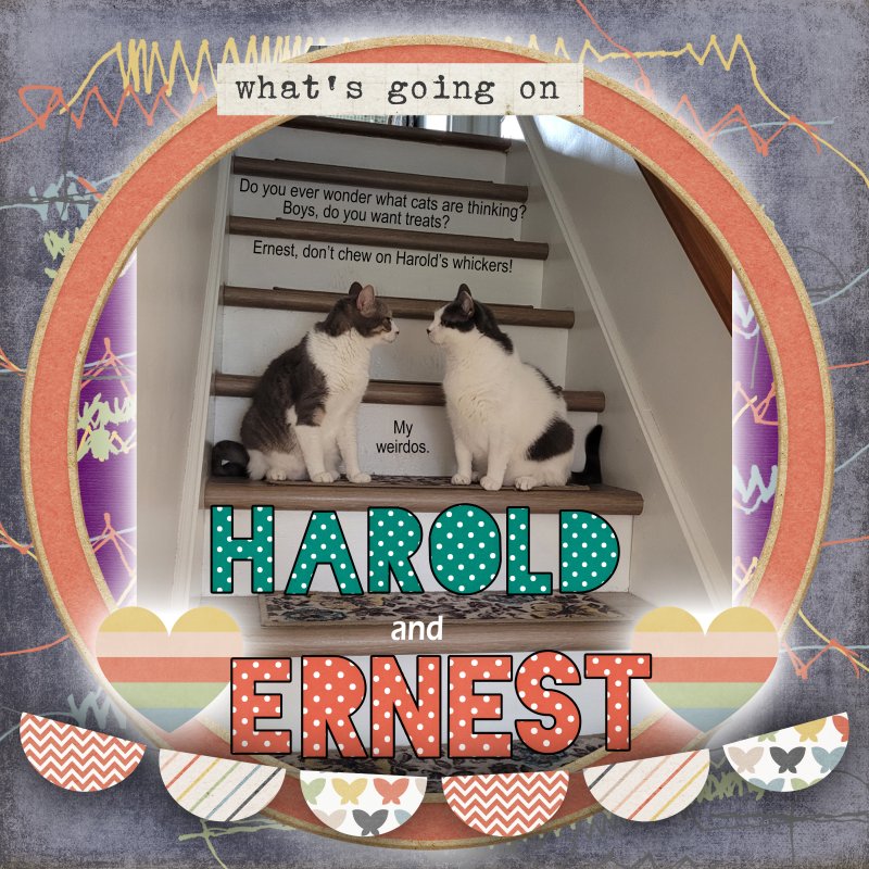 Harold And Ernest What's Going On