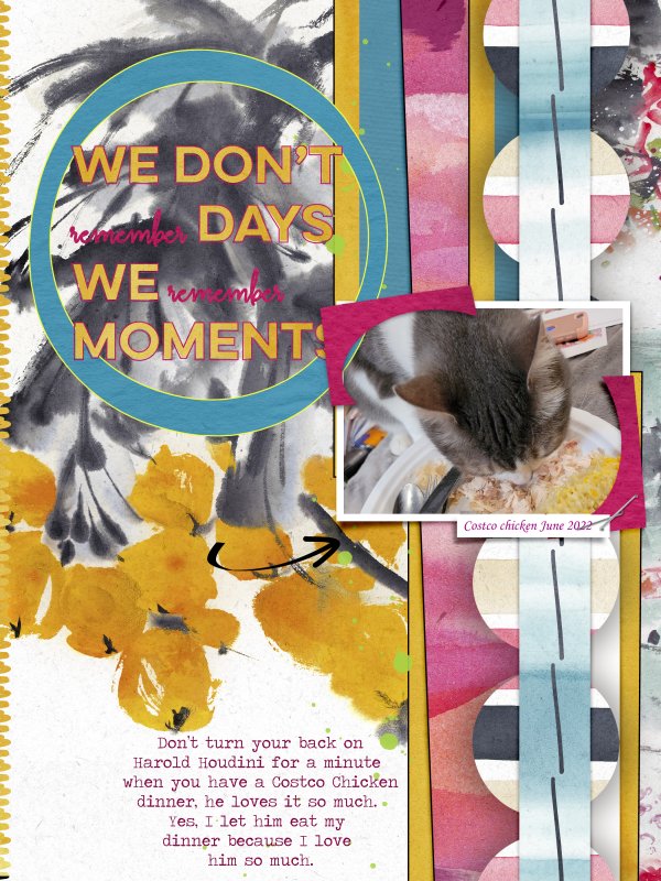 Harold-Houdini-stole-my-dinner-June-Style-Challenge-2022-take-2