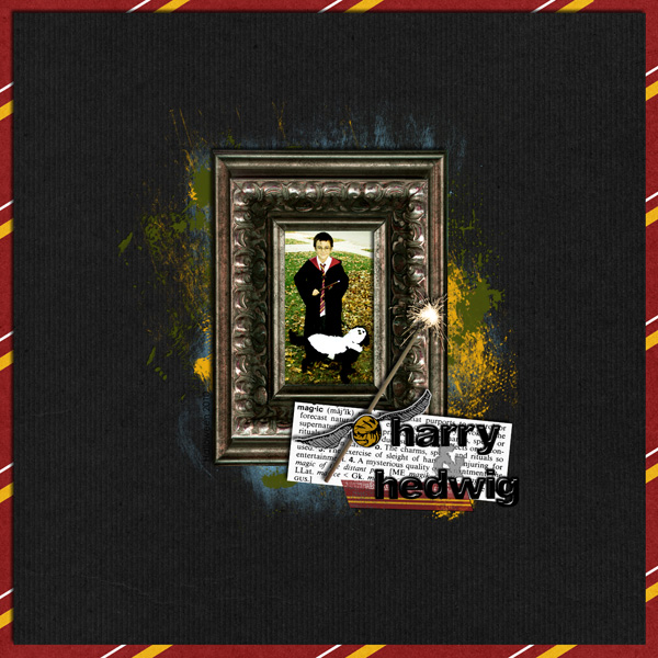 Harry and Hedwig