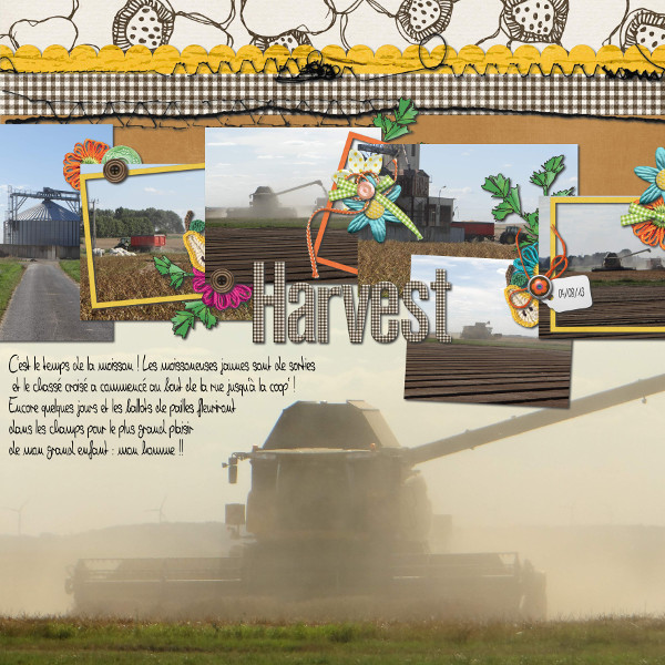 Harvest 2013