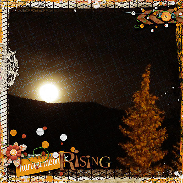harvest moon rising