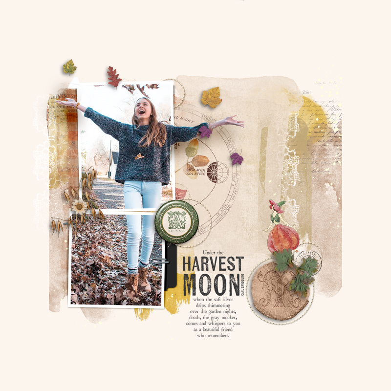 harvest moon