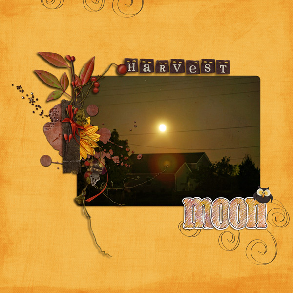Harvest Moon