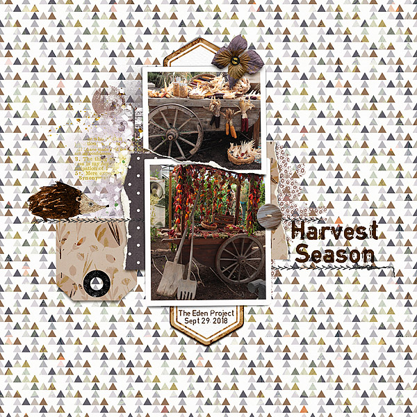Harvest Season