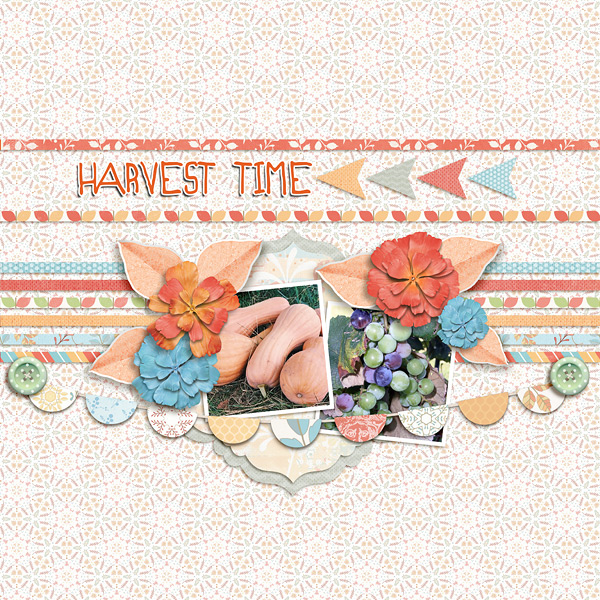 Harvest Time