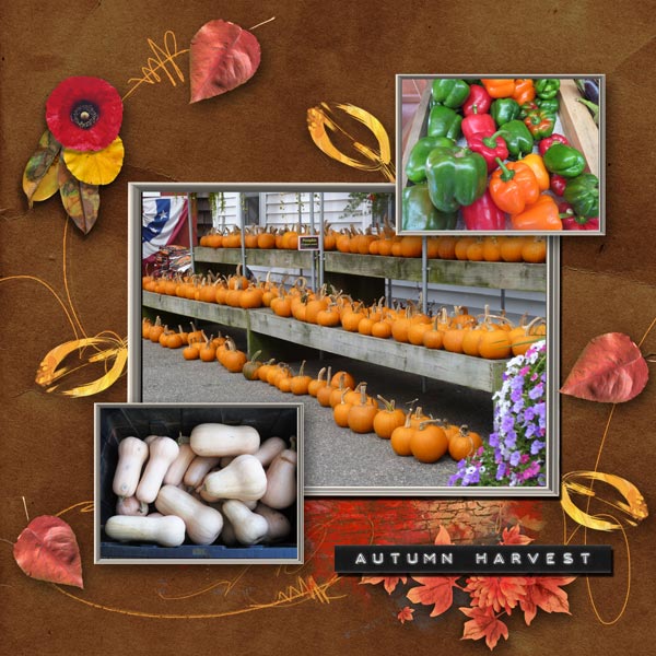 Harvest