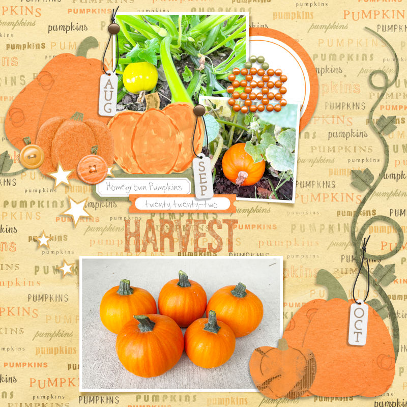 Harvest
