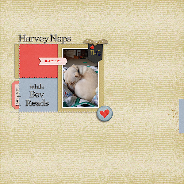 Harvey Naps