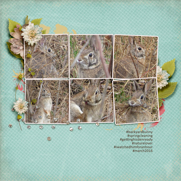 Hashtag Backyard Bunny - Feb Inspiration Challenge