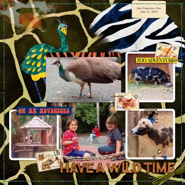 Have a wild time