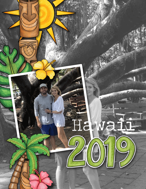 Hawaii Life