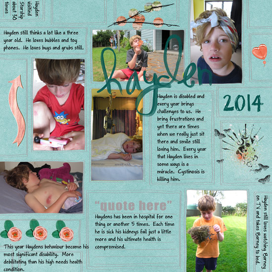 Hayden 2014