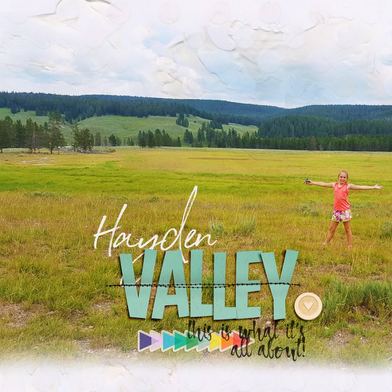 Hayden Valley 1