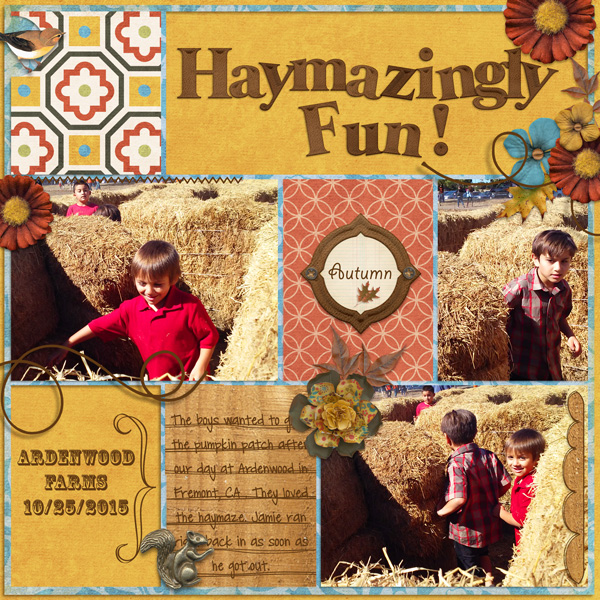 Haymazingly Fun