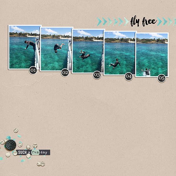 He flips