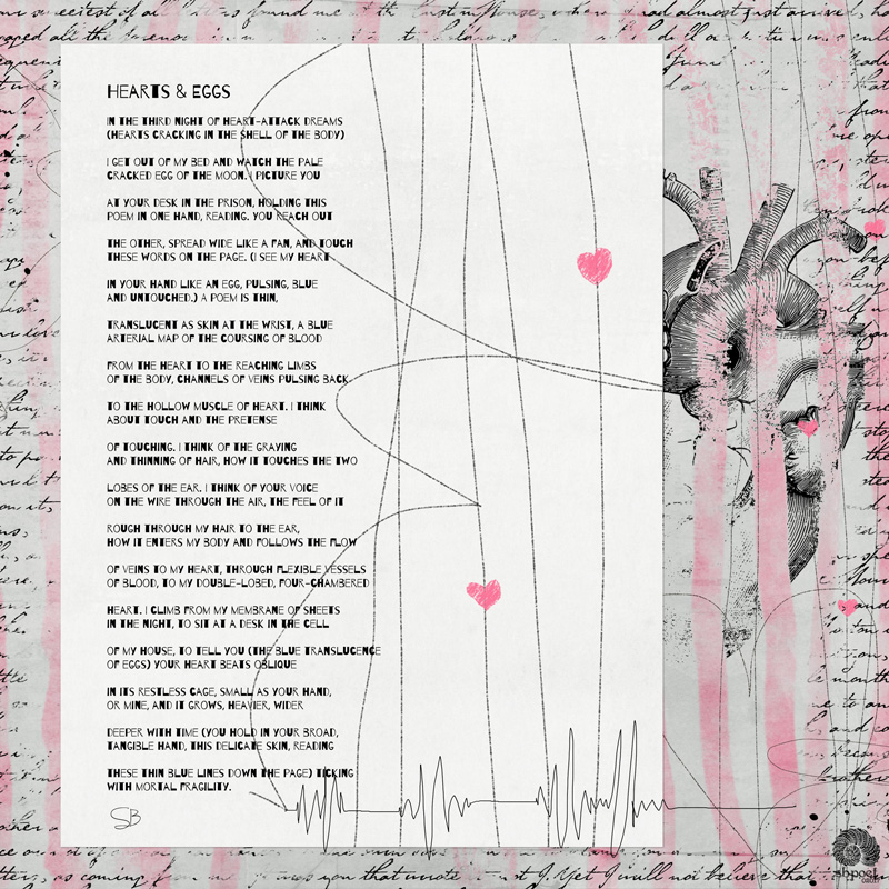 HEARTS & EGGS