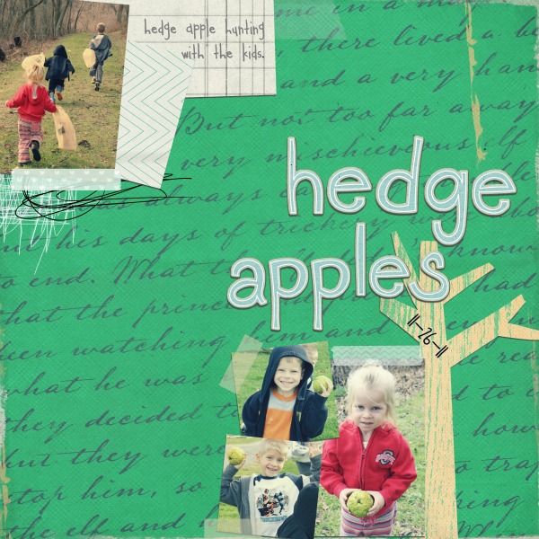 Hedge apples