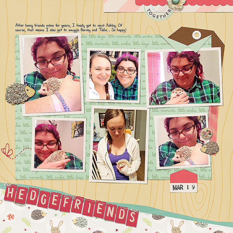 hedgefriends