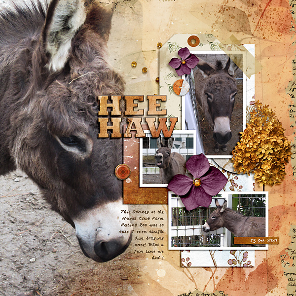 Hee Haw