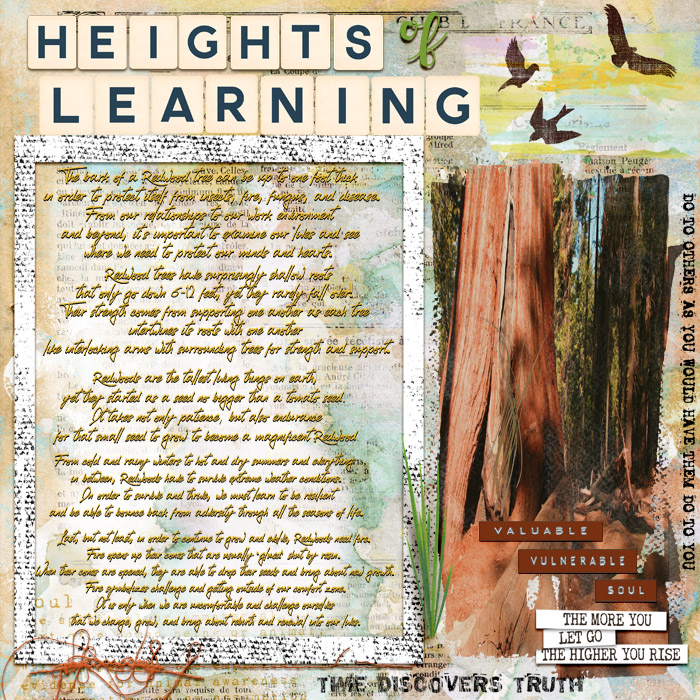 HeightofLearning_AJMuseFeb4_20_2of2