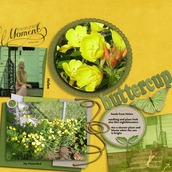 Helen_and_buttercups