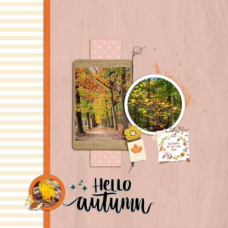 Hello Autum